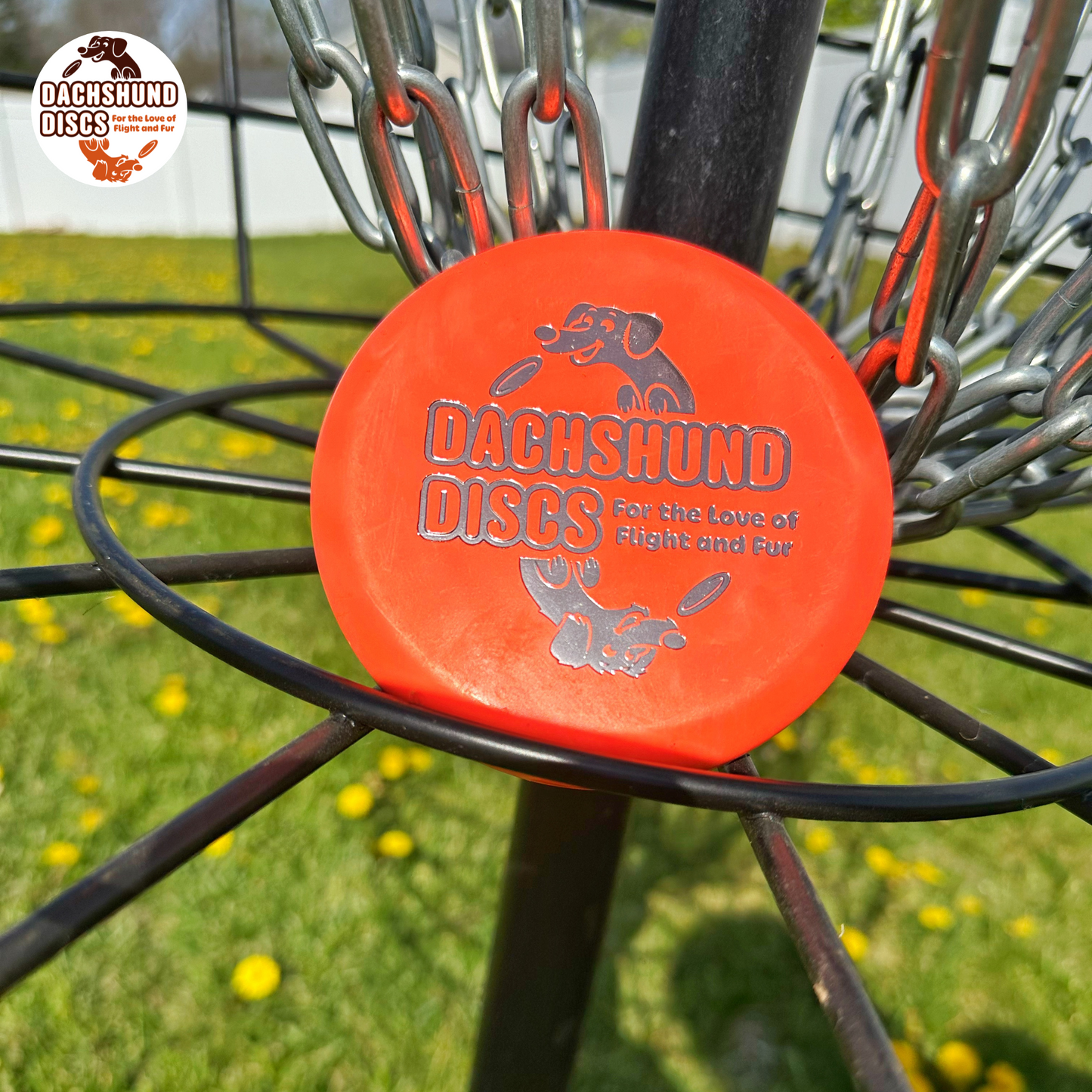 Dachshund Discs Mini