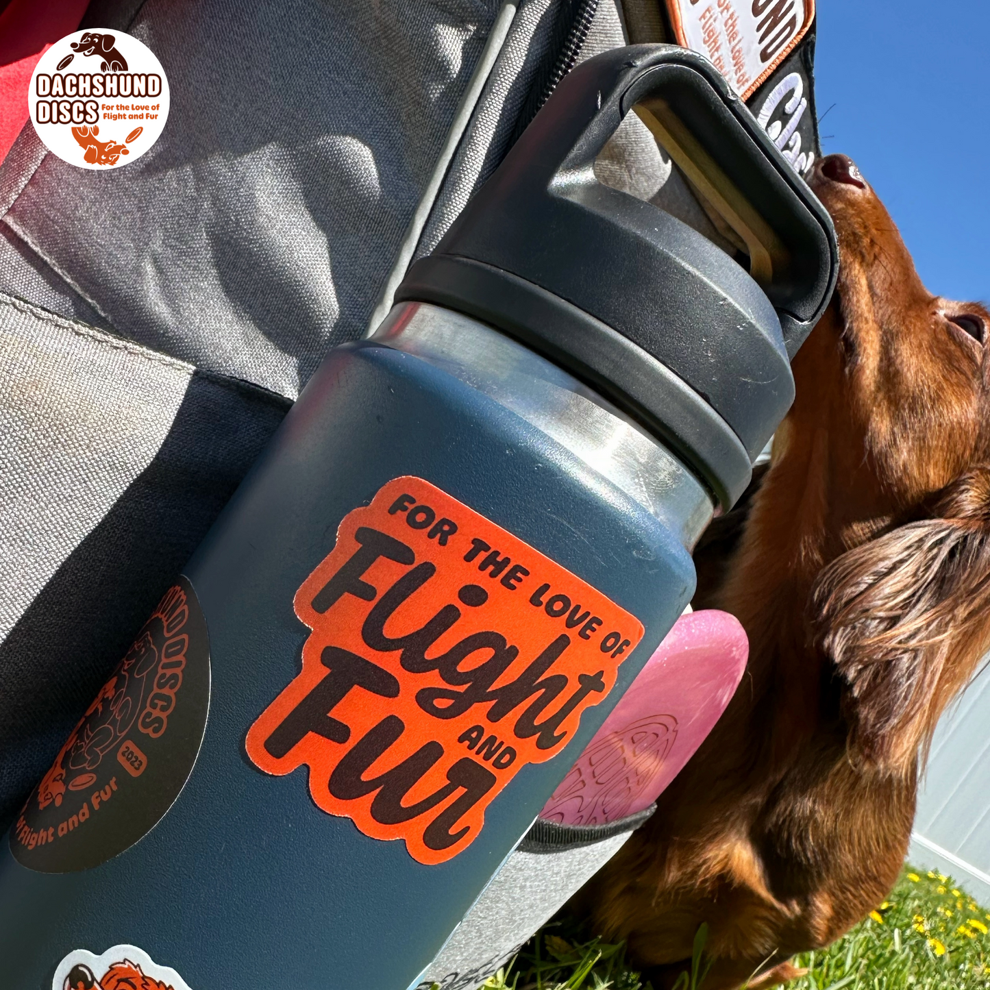 Dachshund Discs Stickers