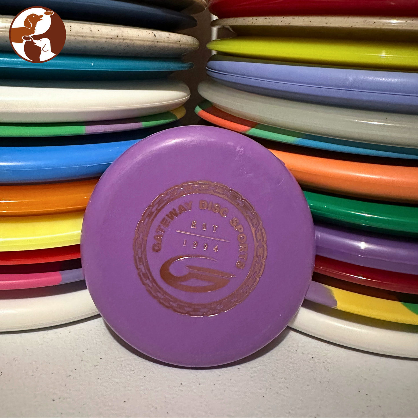 Gateway Discs - Mini