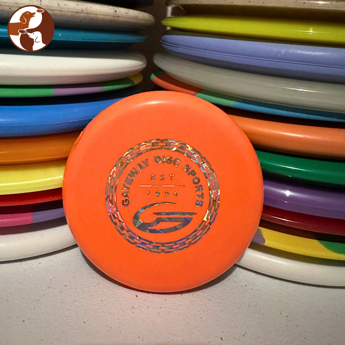 Gateway Discs - Mini