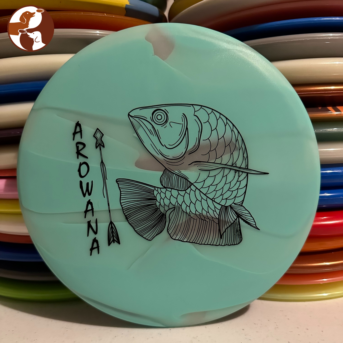 Elevation Discs Arowana - glO-G