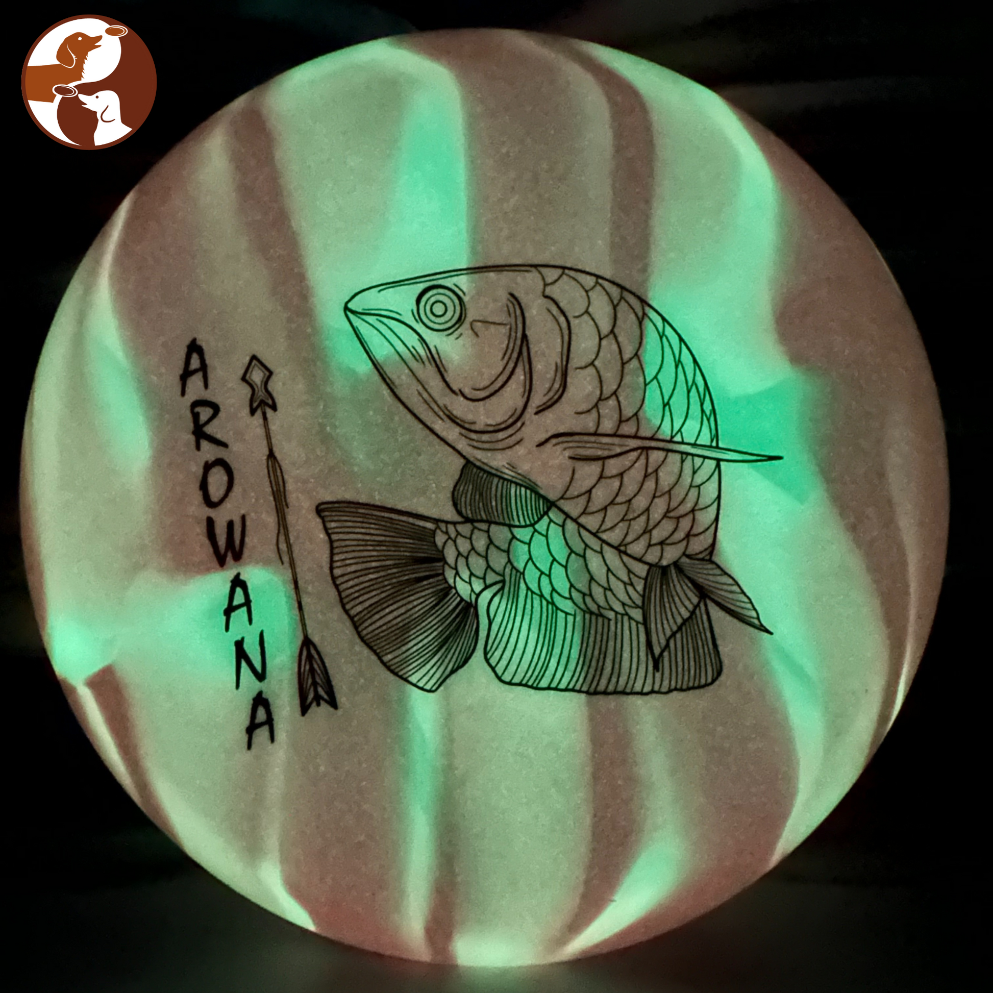 Elevation Discs Arowana - glO-G