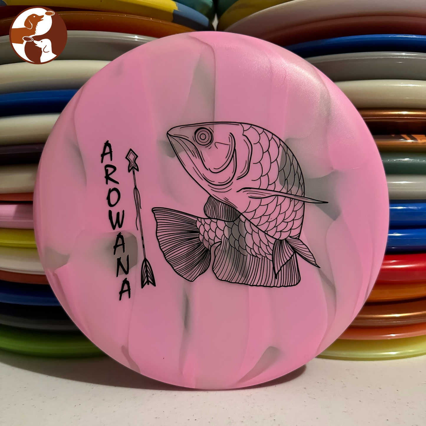 Elevation Discs Arowana - glO-G